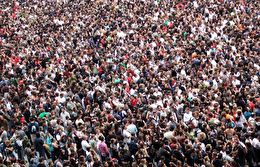 crowds